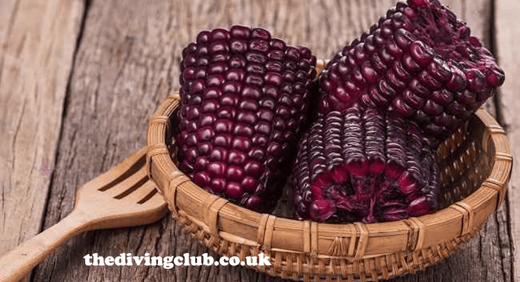 thedivingclub.co