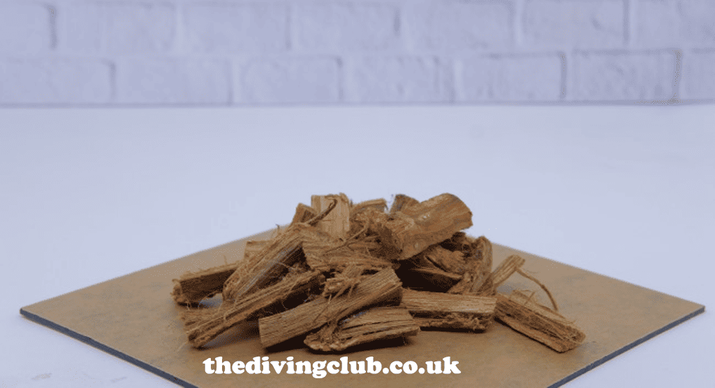 thedivingclub.co