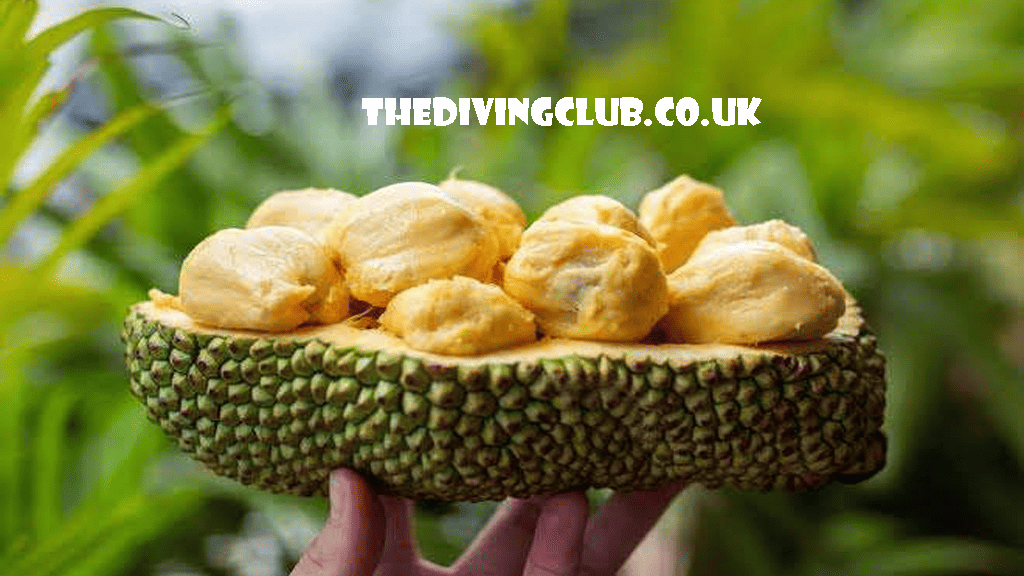 thedivingclub.co