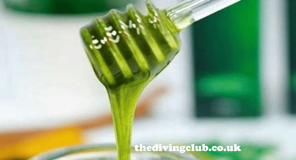 thedivingclub.co