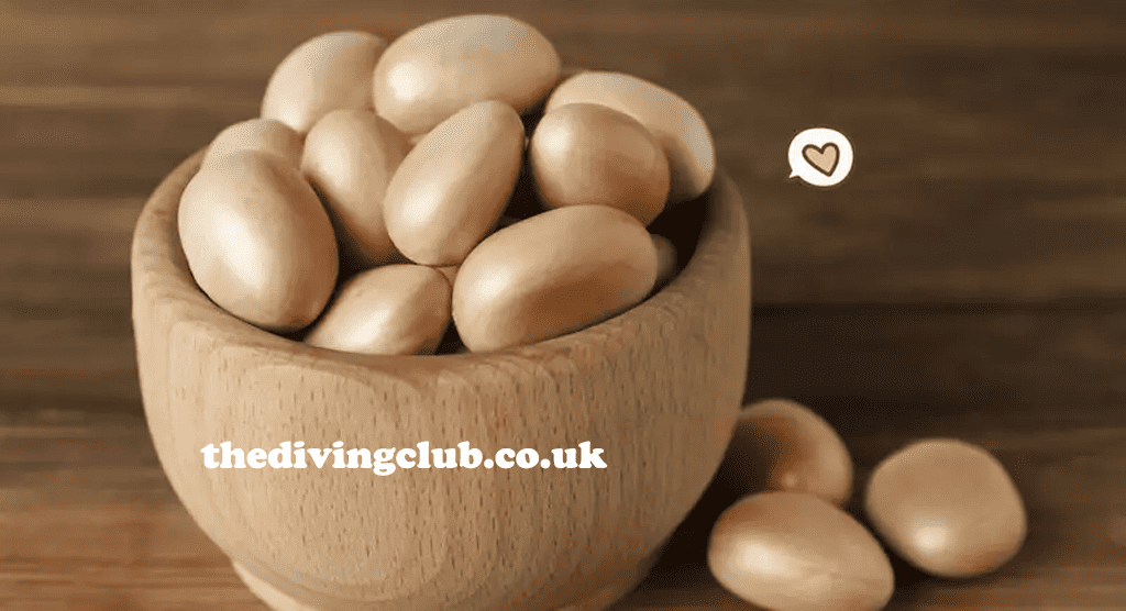 thedivingclub.co