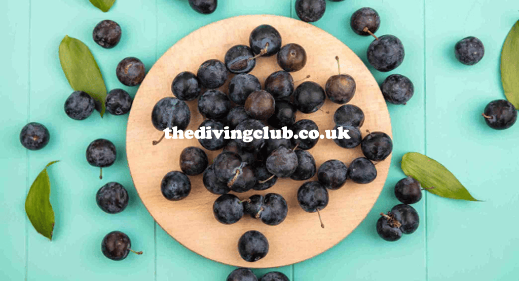thedivingclub.co